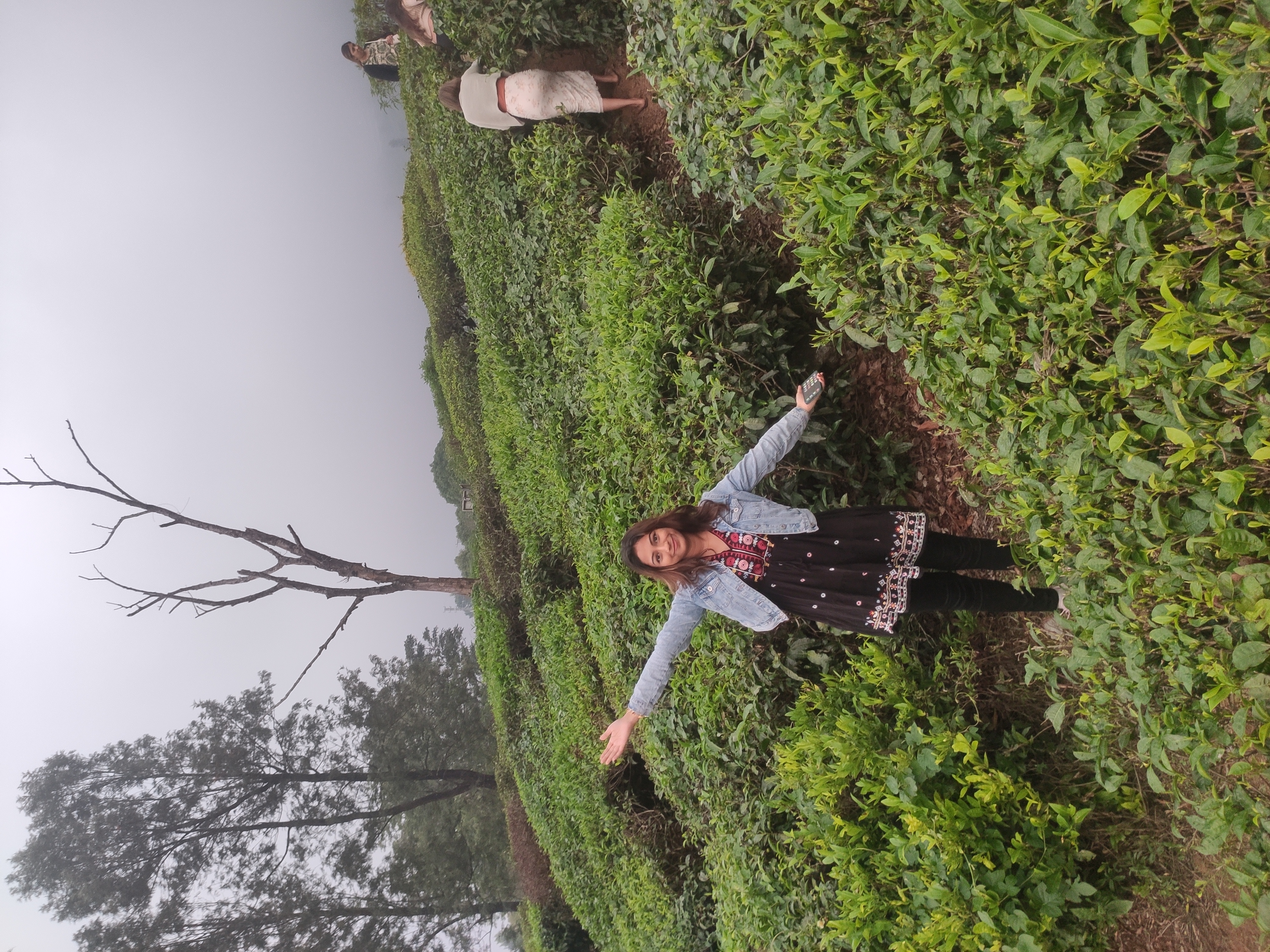 Adventure and Trekking